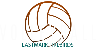 Eastmark Boys Volleyball